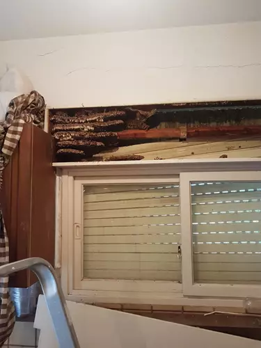 הדברת מזיקים בדירה 1